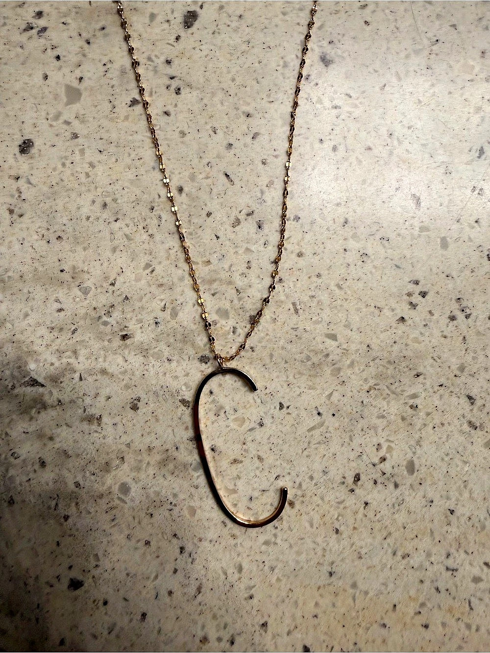 Gold Long C Initial Pendant Necklace